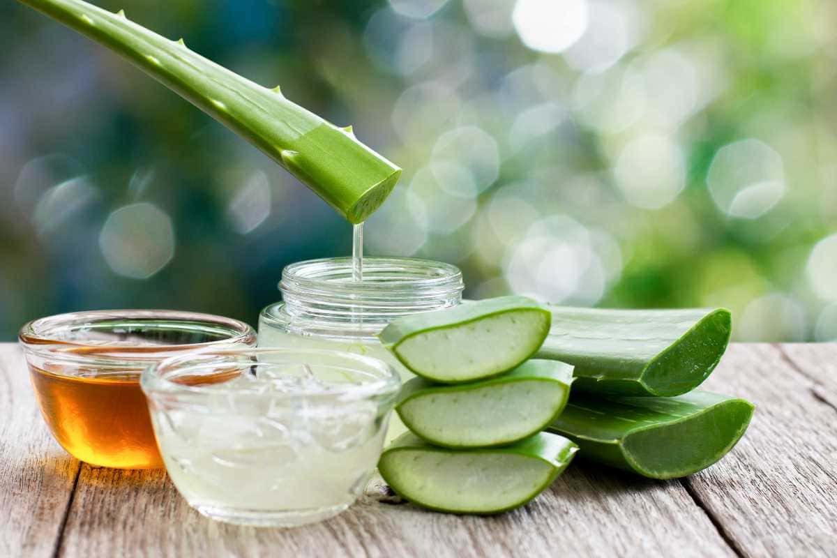 Babosa: truques simples para renovar sua pele e cabelo agora