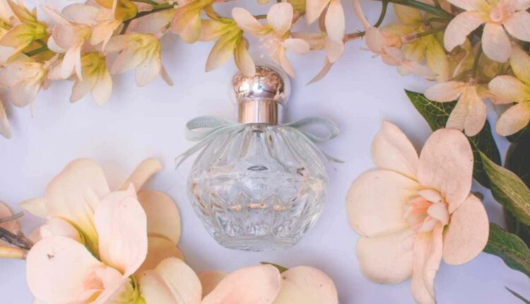 Perfumes baratinhos que têm cheiro de sofisticados