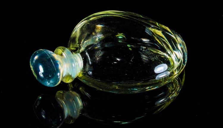 Mulheres que apostam nesses perfumes relatam que mais homens se aproximam delas; será mesmo? Veja se vale a pena apostar neles.
