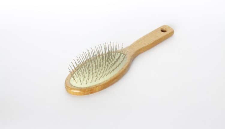 Poucas pessoas sabem disso, mas no inverno o cabelo tende a cair mais; entenda como isso acontece e o que você pode fazer para se prevenir.