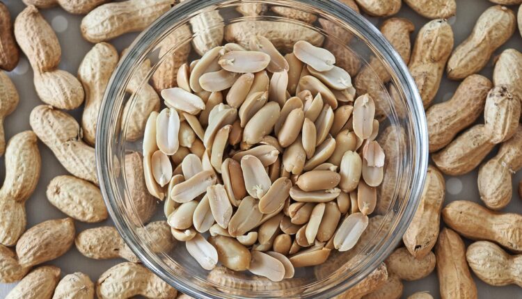 Você pode ter muitos ganhos na saúde se adotar o hábito de comer amendoim; entenda como esse grão pode conferir poderes ao seu bem-estar.