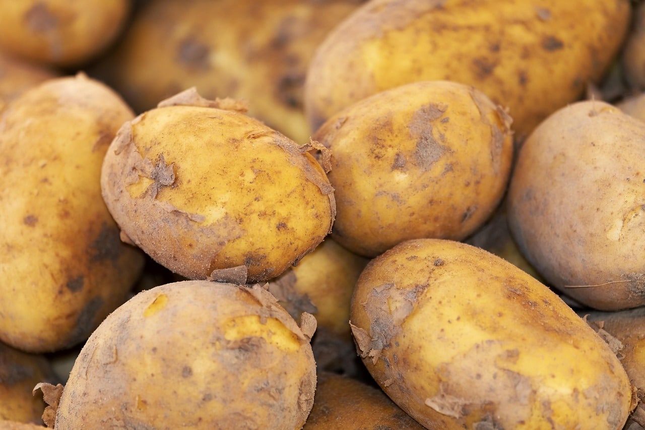Há um risco em comer batata, mas pouca gente está preparada para descobrir isso hoje; saiba mais de algo que ninguém de explicou antes.
