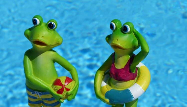 As férias estão chegando e é hora de redobrar os cuidados com os filhos para evitar alguns riscos comuns, mas poucos estão atento a eles; veja mais.