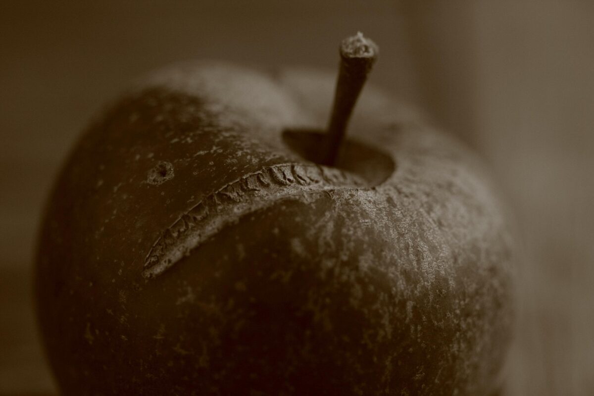 Seu dia estará comprometido se você ainda insiste em inserir esses alimentos na sua dieta cotidiana; veja os detalhes.