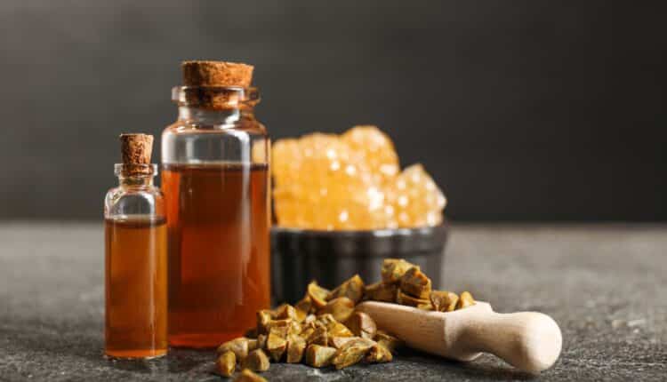 Usar propolis pode ser bem mais eficiente do que pomadas para as feridas; o produto natural cicatriza mais do que se pensa.